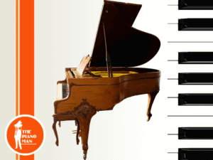 Bernhard Steiner Grand B1002